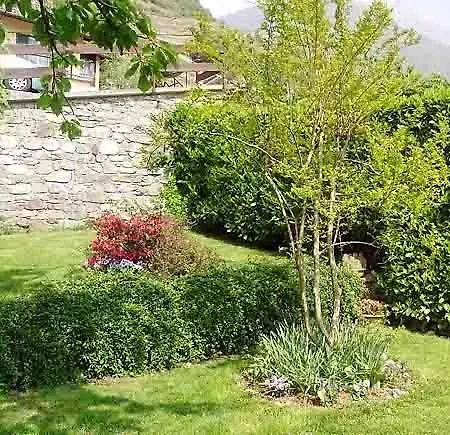 Ca Merlo Bed & Breakfast *
